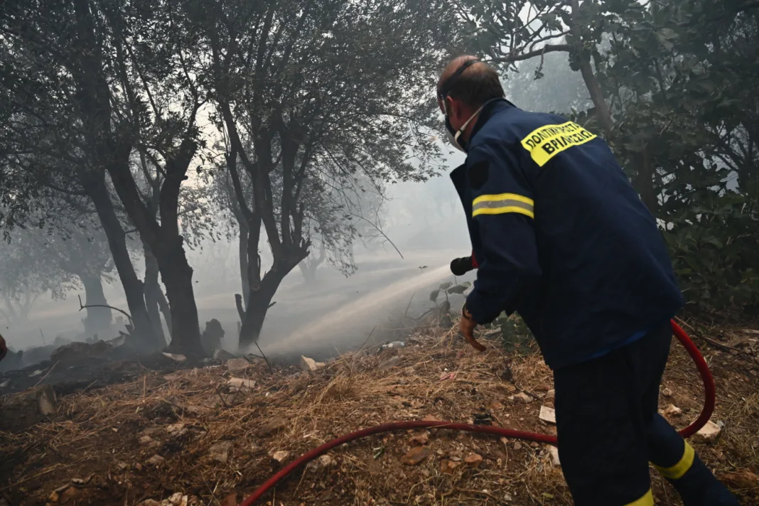 Δύο συλλήψεις από την πυροσβεστική για εμπρησμό από αμέλεια σε Αργολίδα και Κερατέα Δύο συλλήψεις από την πυροσβεστική για εμπρησμό από αμέλεια σε Αργολίδα και Κερατέα