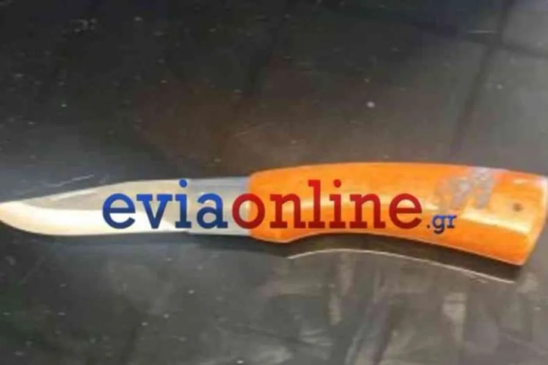Συνελήφθη άνδρας που προσπάθησε να εισέλθει στα Δικαστήρια Χαλκίδας με σουγιά Συνελήφθη άνδρας που προσπάθησε να εισέλθει στα Δικαστήρια Χαλκίδας με σουγιά