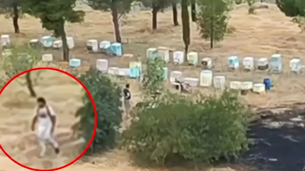 Συνελήφθη ο 45χρονος μελισσοκόμος που έβαλε τη φωτιά στο Άλσος Βεΐκου Συνελήφθη ο 45χρονος μελισσοκόμος που έβαλε τη φωτιά στο Άλσος Βεΐκου