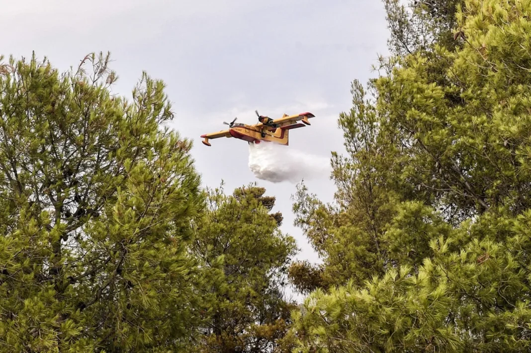 Φωτιά τώρα σε αγροτική έκταση στην Αγία Τριάδα Φθιώτιδας Φωτιά τώρα σε αγροτική έκταση στην Αγία Τριάδα Φθιώτιδας