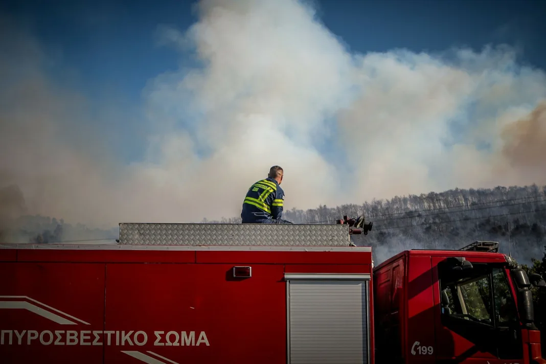 Κιλκίς: Συνελήφθη 52χρονος – Άναψε ψησταριά κι έριξε βεγγαλικά με δείκτη επικινδυνότητας πυρκαγιάς 4 Κιλκίς: Συνελήφθη 52χρονος – Άναψε ψησταριά κι έριξε βεγγαλικά με δείκτη επικινδυνότητας πυρκαγιάς 4