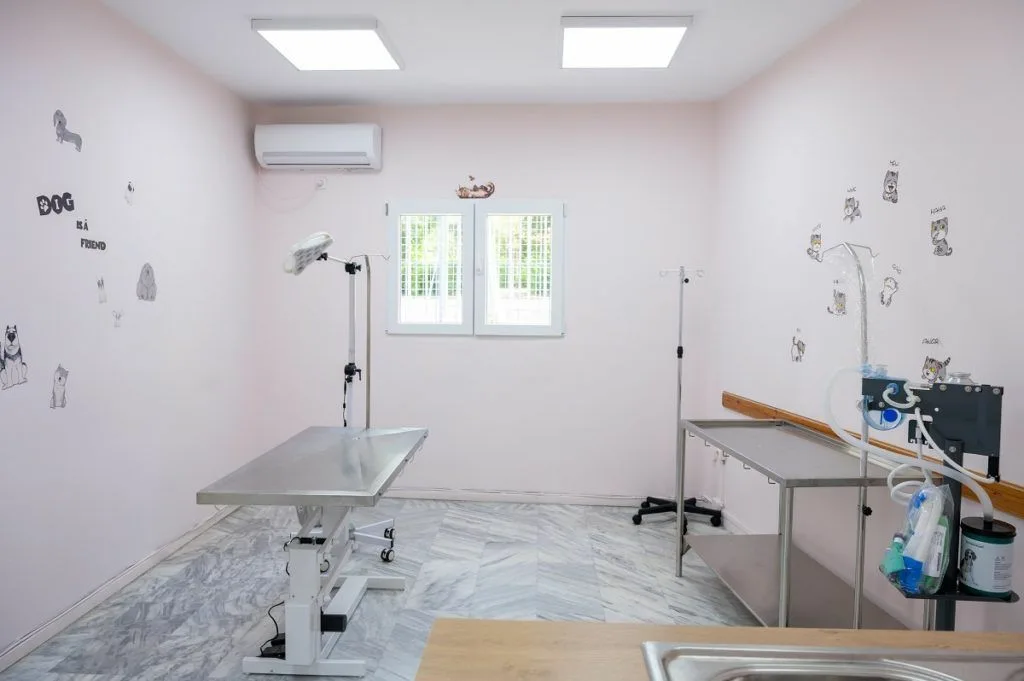 Κακουργηματική δίωξη για βασανισμό αδέσποτων στον 60χρονο που έκανε παράνομα χειρουργεία σε ζώα στη Θεσσαλονίκη Κακουργηματική δίωξη για βασανισμό αδέσποτων στον 60χρονο που έκανε παράνομα χειρουργεία σε ζώα στη Θεσσαλονίκη