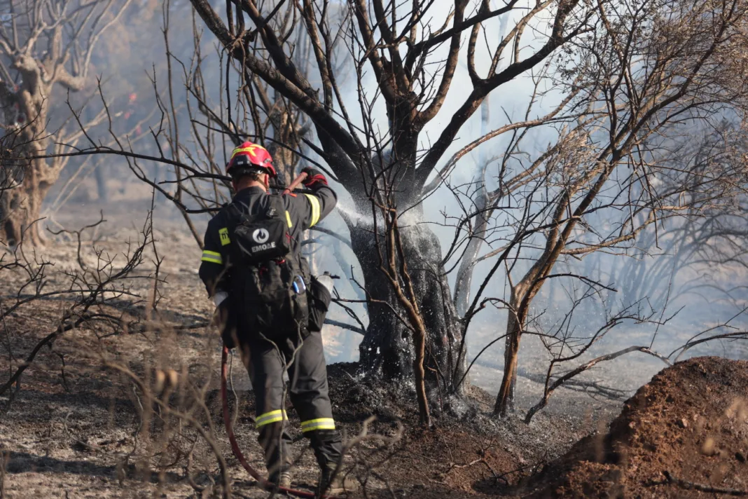 Tρεις συλλήψεις για υπόθεση κατ’ εξακολούθηση εμπρησμών από πρόθεση στη Μεταμόρφωση Μεσσηνίας Tρεις συλλήψεις για υπόθεση κατ’ εξακολούθηση εμπρησμών από πρόθεση στη Μεταμόρφωση Μεσσηνίας