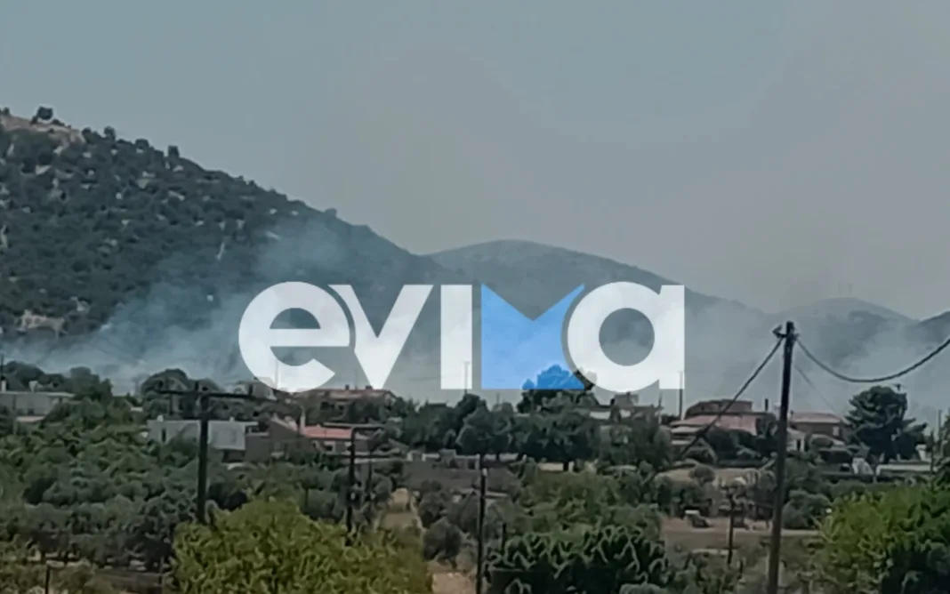 Φωτιά στην Εύβοια κοντά σε σπίτια και σε εργοστάσιο Φωτιά στην Εύβοια κοντά σε σπίτια και σε εργοστάσιο