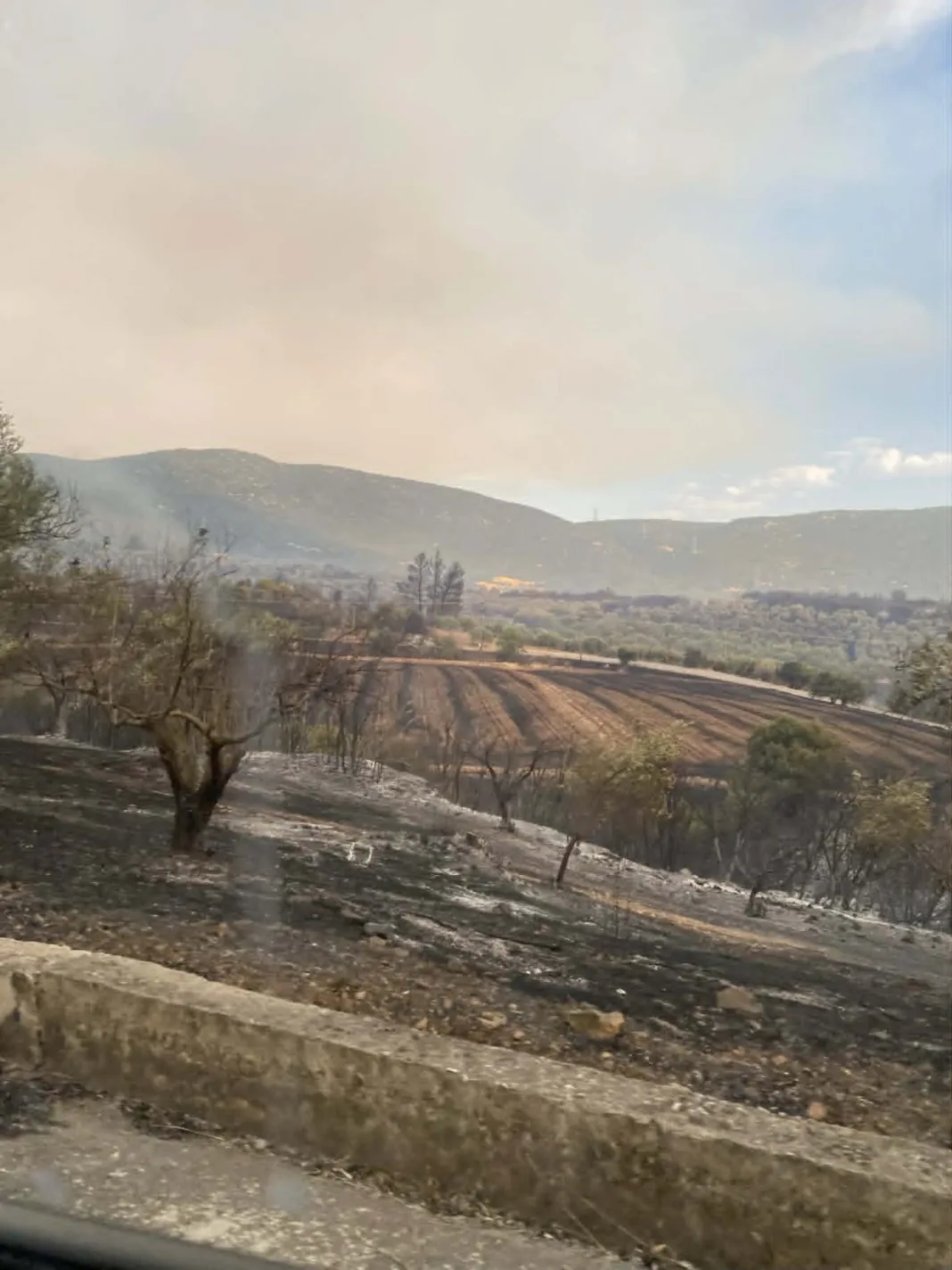 Εκδηλώθηκαν 40 αγροτοδασικές πυρκαγιές το τελευταίο εικοσιτετράωρο Εκδηλώθηκαν 40 αγροτοδασικές πυρκαγιές το τελευταίο εικοσιτετράωρο