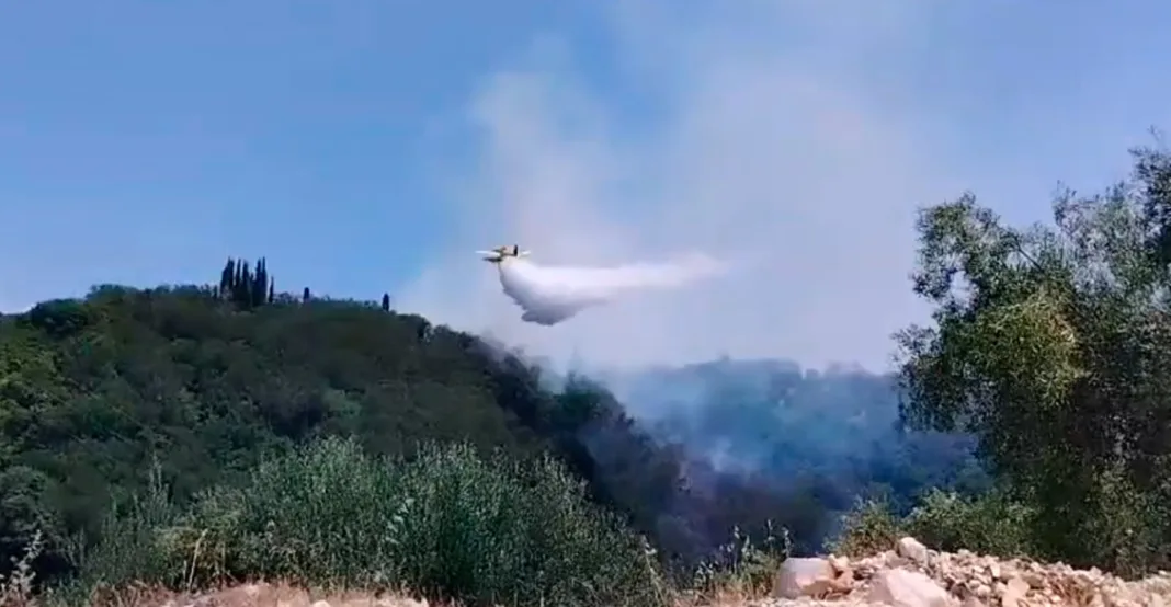 Φωτιά σε αγροτοδασική έκταση στα Βασιλικά Κέρκυρας Φωτιά σε αγροτοδασική έκταση στα Βασιλικά Κέρκυρας