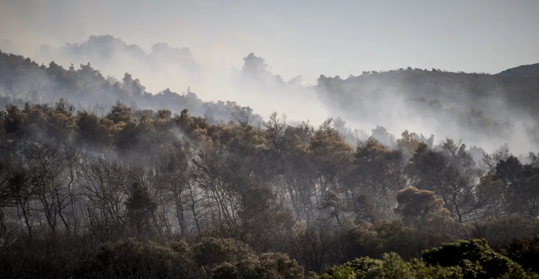 Φωτιά στην Οινόη: Κινδύνευσαν σπίτια, την έχουμε περικυκλώσει πιστεύω πως θα τεθεί υπό έλεγχο, λέει ο δήμαρχος Φωτιά στην Οινόη: Κινδύνευσαν σπίτια, την έχουμε περικυκλώσει πιστεύω πως θα τεθεί υπό έλεγχο, λέει ο δήμαρχος