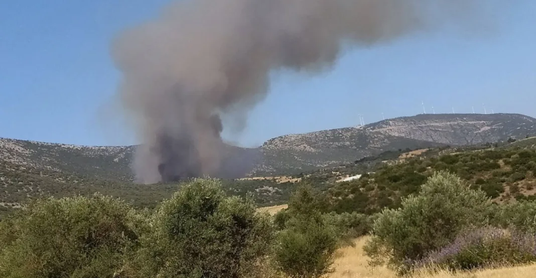 Φωτιά τώρα στην Αγία Ελένη Τροιζηνίας Φωτιά τώρα στην Αγία Ελένη Τροιζηνίας