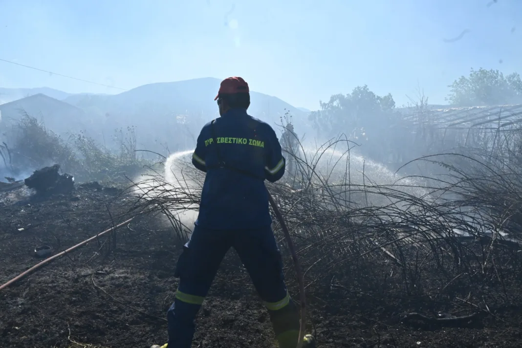 Μία σύλληψη για πυρκαγιά από αμέλεια στη Χίο Μία σύλληψη για πυρκαγιά από αμέλεια στη Χίο