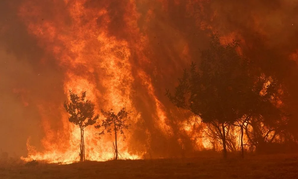 Ξεπερνά τα 3 δισ. ευρώ το κόστος των πυρκαγιών στην Ευρώπη Ξεπερνά τα 3 δισ. ευρώ το κόστος των πυρκαγιών στην Ευρώπη