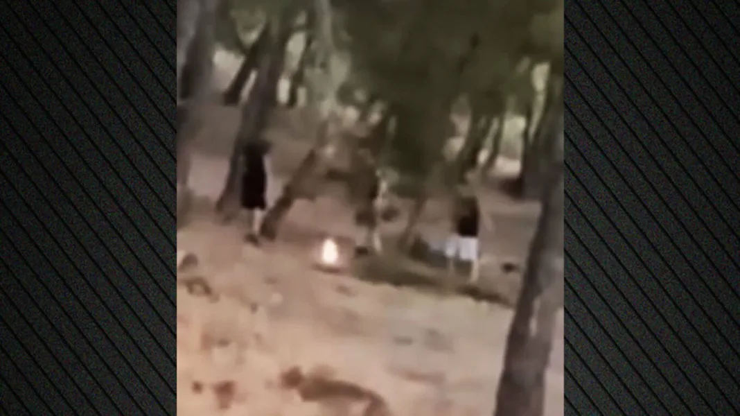 Εντοπίστηκαν οι 13χρονοι που έπαιζαν με τη φωτιά μέσα σε δάσος στην Πεντέλη για ένα challenge Εντοπίστηκαν οι 13χρονοι που έπαιζαν με τη φωτιά μέσα σε δάσος στην Πεντέλη για ένα challenge