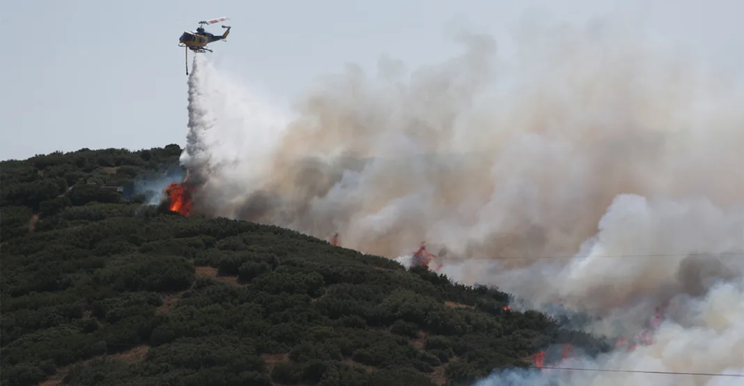 Παρέμβαση εισαγγελέα για τις φωτιές στη Θεσσαλονίκη Παρέμβαση εισαγγελέα για τις φωτιές στη Θεσσαλονίκη