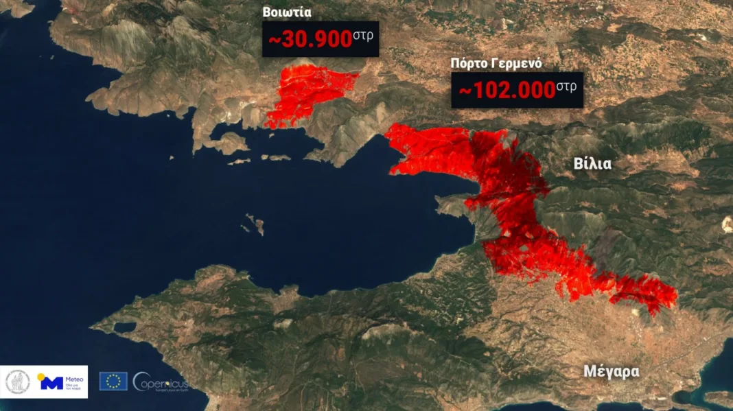 Πάνω από 130.000 τα καμένα στρέμματα στην Αττικοβοιωτία δείχνουν τα τελευταία δορυφορικά στοιχεία Πάνω από 130.000 τα καμένα στρέμματα στην Αττικοβοιωτία δείχνουν τα τελευταία δορυφορικά στοιχεία