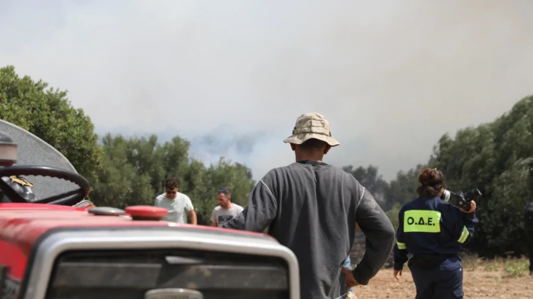 Φωτιά στη Δυτική Αττική: Οι ενεργές εστίες που καταγράφουν οι δορυφόροι, πού συνεχίζεται η μάχη Φωτιά στη Δυτική Αττική: Οι ενεργές εστίες που καταγράφουν οι δορυφόροι, πού συνεχίζεται η μάχη