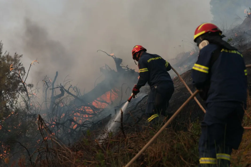 Συνελήφθη 80χρονος στην Καβάλα για εμπρησμό από πρόθεση, ομολόγησε και οδηγείται στον εισαγγελέα Συνελήφθη 80χρονος στην Καβάλα για εμπρησμό από πρόθεση, ομολόγησε και οδηγείται στον εισαγγελέα