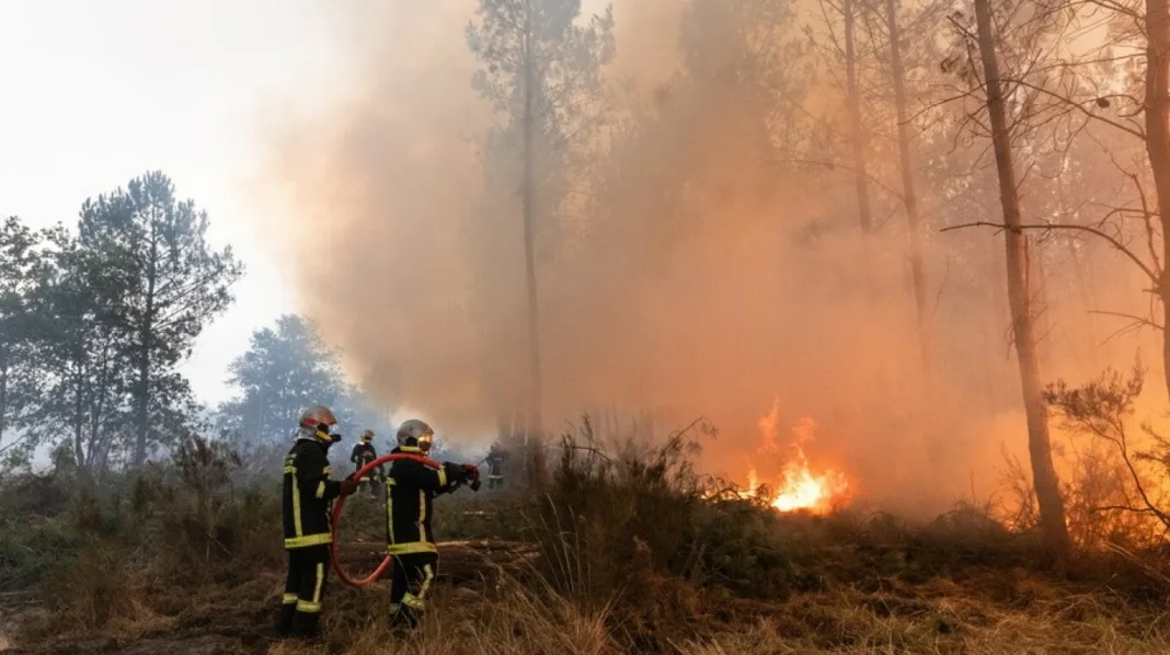 Εκατοντάδες συλλήψεις για τις φωτιές του καλοκαιριού στη Γαλλία, το 70% κατηγορείται για εμπρησμό Εκατοντάδες συλλήψεις για τις φωτιές του καλοκαιριού στη Γαλλία, το 70% κατηγορείται για εμπρησμό
