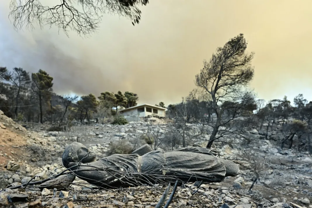Κάηκε το 42% των δασών της Αττικής μέσα σε 10 χρόνια Κάηκε το 42% των δασών της Αττικής μέσα σε 10 χρόνια