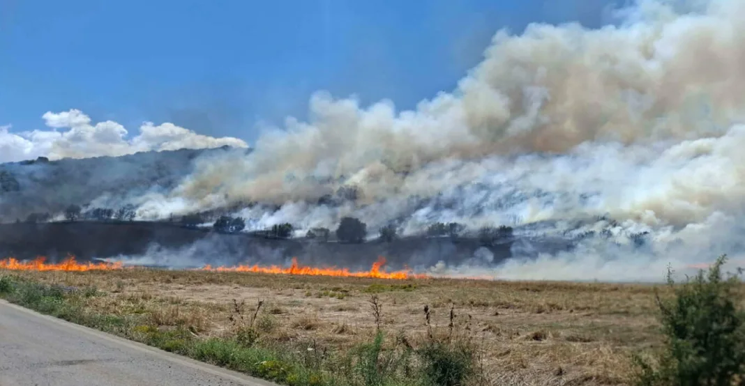 Φωτιά στη Κυρά Φαρσάλων στη Λάρισα Φωτιά στη Κυρά Φαρσάλων στη Λάρισα