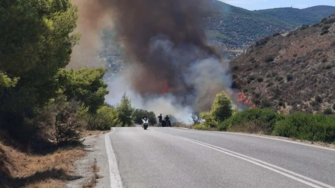 Δήμαρχος Σαλαμίνας για τις φωτιές: Η κατάσταση είναι δύσκολη, έχουμε ζητήσει φέρι μποτ σε περίπτωση που δυσκολεύουν πολύ τα πράγματα Δήμαρχος Σαλαμίνας για τις φωτιές: Η κατάσταση είναι δύσκολη, έχουμε ζητήσει φέρι μποτ σε περίπτωση που δυσκολεύουν πολύ τα πράγματα