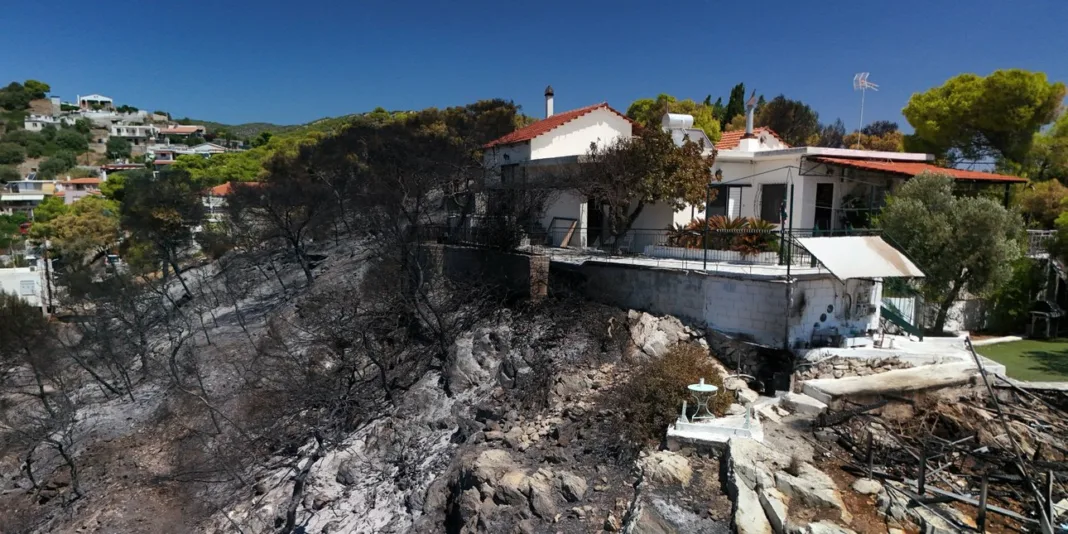 Σαλαμίνα: Ξεκίνησαν οι αυτοψίες στα καμμένα Σαλαμίνα: Ξεκίνησαν οι αυτοψίες στα καμμένα