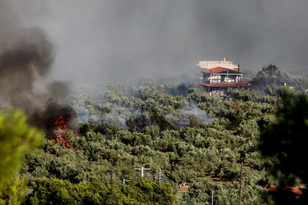 Θήβα: Ενώπιον του εισαγγελέα οδηγούνται οι δύο συλληφθέντες για την πυρκαγιά στη Βοιωτία που επεκτάθηκε στην Αττική Θήβα: Ενώπιον του εισαγγελέα οδηγούνται οι δύο συλληφθέντες για την πυρκαγιά στη Βοιωτία που επεκτάθηκε στην Αττική