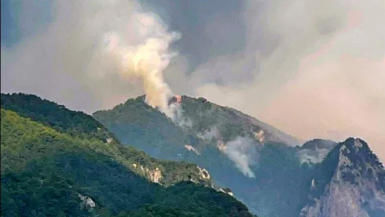Κόνιτσα: Η φωτιά κατέκαψε 1.152 στρέμματα-Ζημιά ενός αιώνα (φωτογραφίες) Κόνιτσα: Η φωτιά κατέκαψε 1.152 στρέμματα-Ζημιά ενός αιώνα (φωτογραφίες)