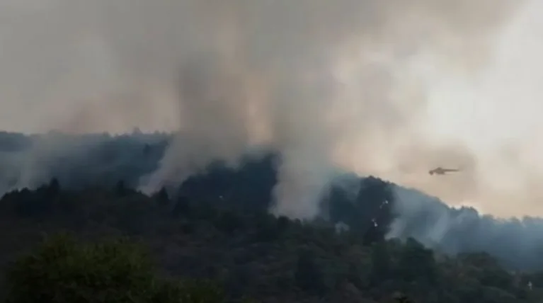 Φωτιά στην Κόνιτσα: «Ακούμε τις φλόγες μέχρι τα σπίτια μας»-Καίγεται για όγδοη μέρα το πευκοδάσος της Τραπεζίτσας Φωτιά στην Κόνιτσα: «Ακούμε τις φλόγες μέχρι τα σπίτια μας»-Καίγεται για όγδοη μέρα το πευκοδάσος της Τραπεζίτσας