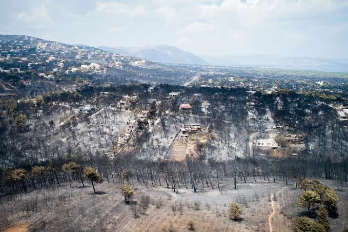 Στο Εφετείο τρεις καταδικασθέντες για το Μάτι με το ελαφρυντικό του «σύννομου βίου»-Έντονες αντιδράσεις από τους συγγενείς των θανόντων Στο Εφετείο τρεις καταδικασθέντες για το Μάτι με το ελαφρυντικό του «σύννομου βίου»-Έντονες αντιδράσεις από τους συγγενείς των θανόντων